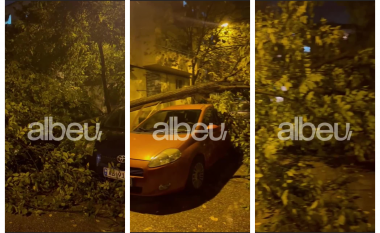 Bie pema në Tiranë, zë poshtë makinën (VIDEO)