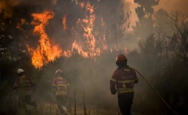 Zjarr në një sipërfaqe të pyllëzuar në Vlorë