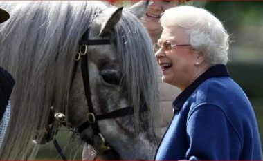 Pak javë nga vdekja e Mbretëreshës, mbreti Charles nxjerr 12 kuajt e garës së Elizabeth në ankand