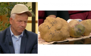 “Kush gjen pataten më të madhe shpërblehet në Kukës”, fermeri: Kur e gjeta 2 kg e 210 gr u habitëm, është bio