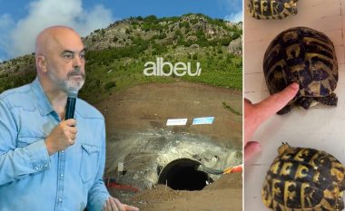 Rama: Punimet në tunelin e Murrizës po ecin ngadalë si breshkat e mia
