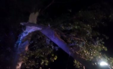Stuhi shiu dhe ere, rrëzohen pemët në Vlorë, probleme me qarkullimin (VIDEO)