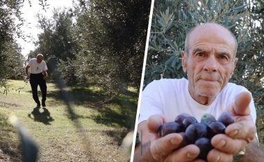 “Këtë vend do ta zënë ferrat”, fermeri 70-vjeçar në krizë: Kam 4 fëmijë në emigrim