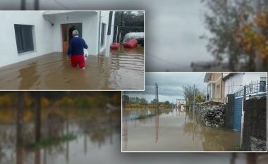 Shiu përmbyt dhjetëra banesa në Shkodër e Durrës (VIDEO)