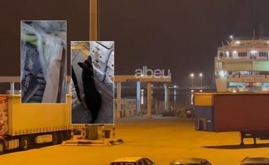 31 pako me kokainë në Portin e Durrësit, Policia: Shoqërohen 8 persona (VIDEO)