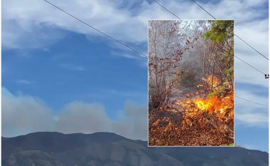 Zjarr në zonën e mbrojtur të Malit të Drenovës në Korçë