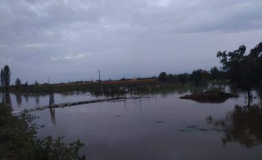 Situata e motit në Lezhë/ Ende 80 hektarë tokë të përmbytura