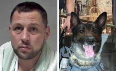 Shpërndante lëndë narkotike në Angli, shqiptari i shpëton policisë por jo dhëmbëve të qenit, përfundon në spital