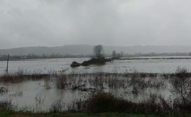 Rikthehen përmbytjet në Fushë-Krujë, dhjetëra hektarë tokë bujqësore “pushtohen” nga uji (VIDEO)