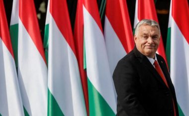 Si përfitoi Orban nga lufta në Ukrainë?