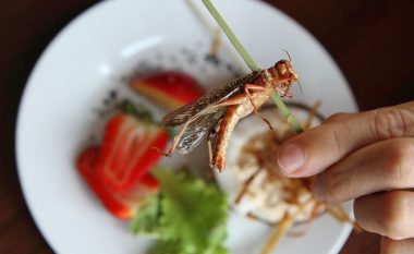Europa jep “ok”: Dy llojet e insekteve që lejohen të konsumohen nga sot në restorante dhe shtëpi