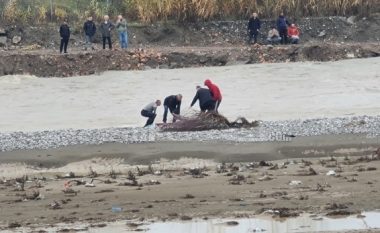 E rëndë në Elbasan, një grua mbytet në lumin Shkumbin