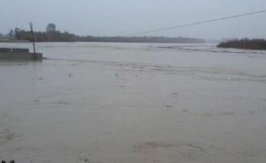 Reshjet e shiut në Shqipëri, lumi Buna del nga shtrati, mbi 400 hektarë tokë të përmbytura në Shkodër