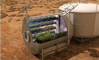 ​NASA planifikon të mbjellë patate në Mars