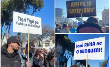 “Tigri, tigri, po pastruesja bëri kërdinë”, pankartat pikante nga protesta e opozitës (FOTO LAJM)