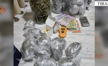 Shpërndanin kokainë nëpër Tiranë, në pranga një i mitur dhe një 27-vjeçar