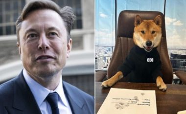 Elon Musk “mban” premtimin, emëron CEO-n e ri të twitter një qen