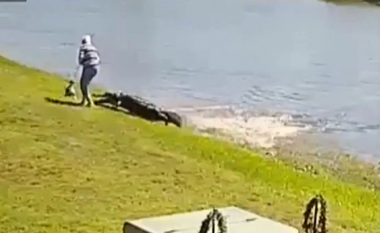 “Ai e mori atë”, momenti i sulmit fatal të aligatorit ndaj një gruaje 85-vjeçare (Video)