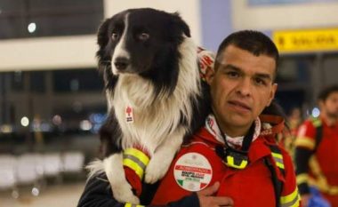 Tërmeti në Turqi dhe Siri, Meksika dërgon qentë e famshëm të kërkim-shpëtimit