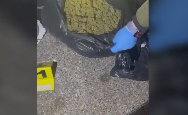 Kishin fshehur 8 kg kanabis në bagazhin e makinës, arrestohen 2 persona në Kamzë