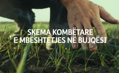 Albeu: Ngec sistemi që në ditën e parë të aplikimeve për subvencionimin, fermerët e Korçës në radhë