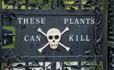 Konsiderohet si kopshti i vdekjes, askush nuk guxon të hyjë brenda (FOTO)