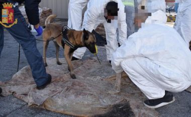 Sekuestrohen 23 kg kokainë në portin italian, ku ishte destinacioni i drogës me vlerë 4 milionë euro