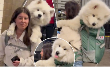 Bën xhiron e rrjetit, gruaja mban në shpinë qenin me peshë 52 kg (Video)