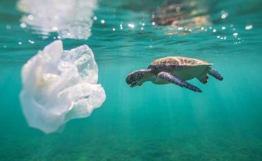 Studiuesit ngrenë alarmin: Plastika në oqeane mund të trefishohet deri në vitin 2040