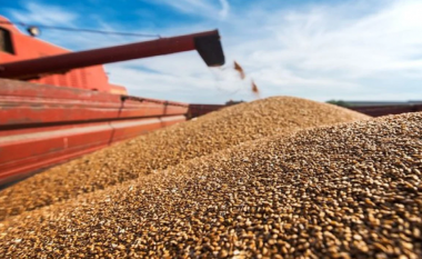 Polonia ndalon importet e grurit ukrainas për të mbrojtur bujqit lokalë