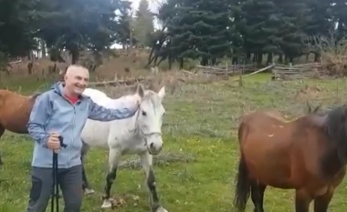 “Kënaqësia më e madhe”, Ilir Meta kalon të dielën me kuajt në natyrë (VIDEO)