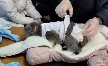 VIDEO/ Gruaja vesh macen si foshnjë për të kontrabanduar drogë