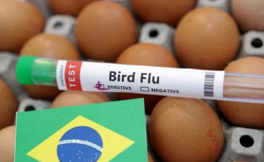 Brazili shpall “urgjencën shëndetësore” për shkak të gripit të shpendëve