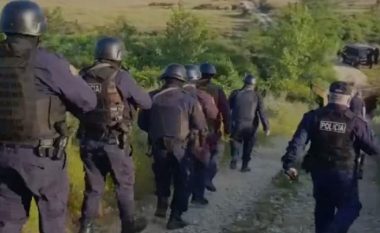 VIDEO/ Aksion antidrogë në Krujë, zbulohen 3 parcela me kanabis