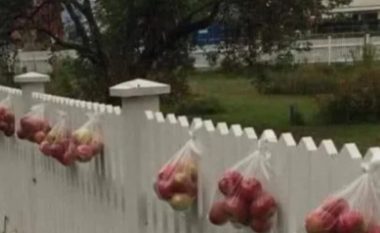 Kjo është arsyeja pse norvegjezët i varin mollët jashtë gardhit