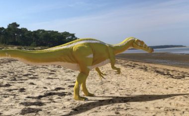 Zbulohet një specie e re dinozauri në Spanjë