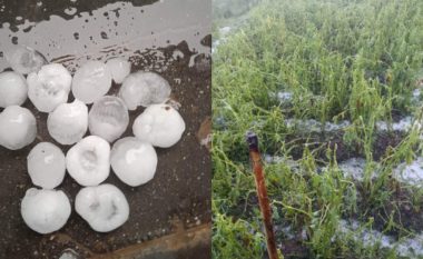 Shi i dendur e breshër në Korçë, dëme të mëdha në të mbjella (VIDEO)