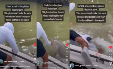 E frikshme! Momenti kur peshkaqeni sulmon të riun teksa shëtiste me varkë (VIDEO)