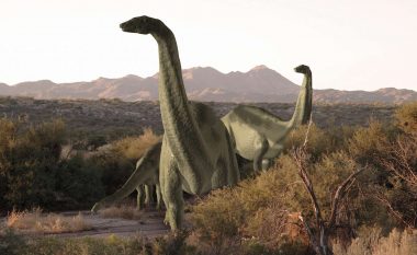 Studimi i ri: Njerëzit dhe dinosaurët bashkëjetuan në Tokë miliona vjet më parë