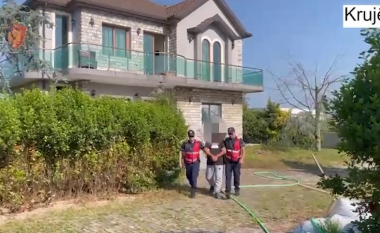 Laborator kanabisi në banesë, arrestohet i zoti i shtëpisë në Krujë