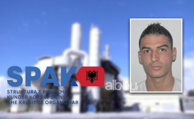 I përfshirë në aferën e inceneratorit të Fierit, ekstradohet në Shqipëri Silvester Driza
