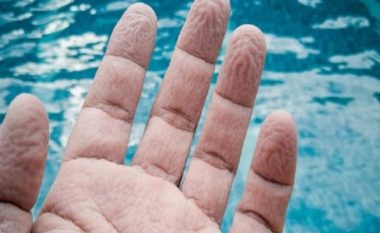 Pse na rrudhen gishtat kur rrimë në ujë?