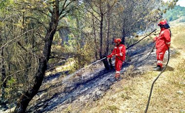 Situata e zjarreve në vend, Peleshi: Fiken disa vatra, vazhdon operacioni në vendgrumbullimin e mbetjeve në Vlorë