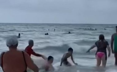 Peshkaqeni “viziton” pushuesit në afërsi të bregut, pamjet që po tmerrojnë rrjetin (VIDEO)