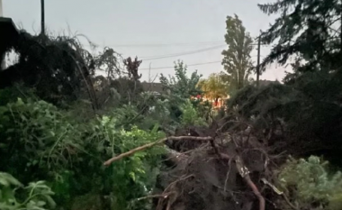 Stuhi tjetër vdekjeprurëse në Serbi, humbin jetën një fëmijë dhe një grua