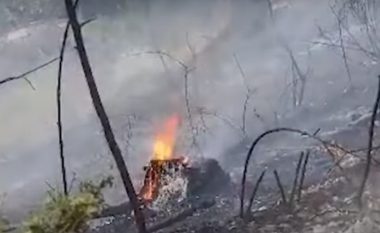 Riaktivizohet zjarri në pyllin e Peshtanit