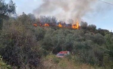 Zjarr në parcelën me ullinj në Lushnjë, terreni bëntë pamundur ndërhyrjen e zjarrfikëses