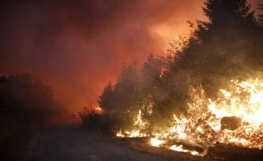 Spanja dhe Portugalia në “ferrin” e flakëve, qindra të evakuuar dhe mijëra hektarë të djegur