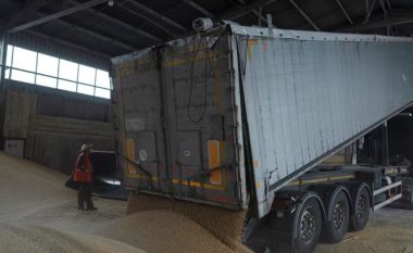 Polonia, Hungaria dhe Sllovakia vendosin kufizime mbi importet e grurit ukrainas