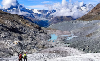 Akullnajat zvicerane zvogëlohen me 10% në dy vjet